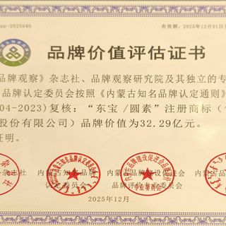 和记H88/圆素品牌价值评估证书