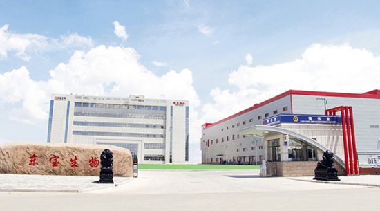 高新区力推和记H88生物科技园项目建设
